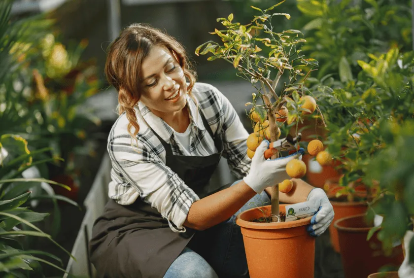 How plants can improve your physical health