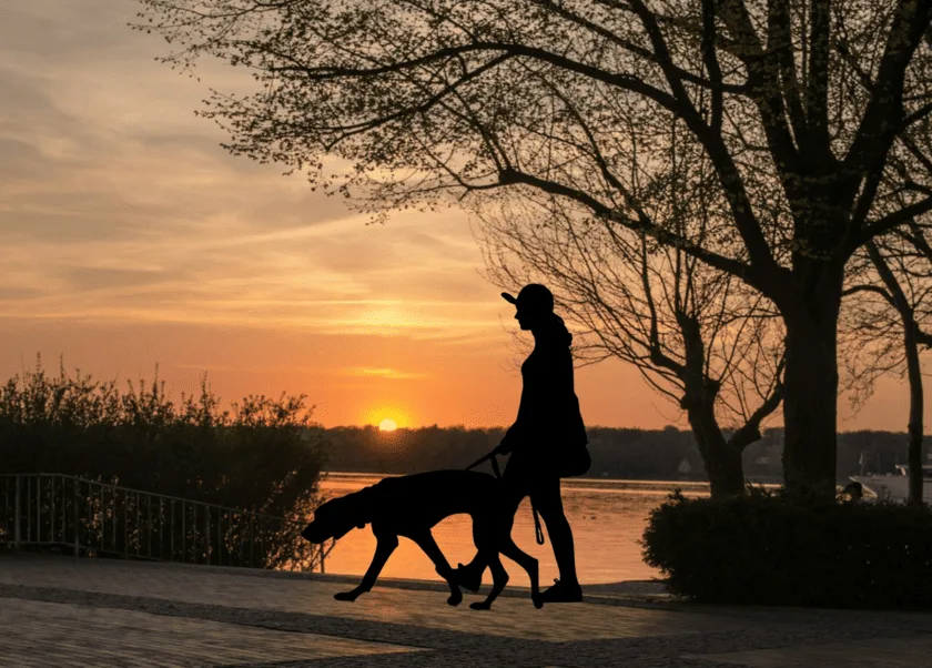 How does changing seasons impact human mental health