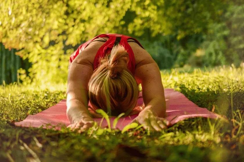 The 7 Spiritual Laws of Success: A Simple Guide to Lasting Fulfillment